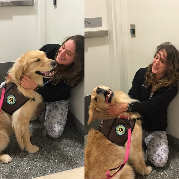 Meet your Posher, Julia - Picture 1 of 1